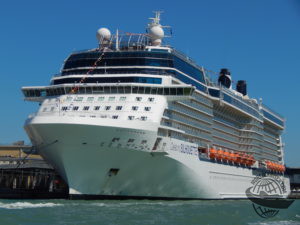 Celebrity Silhouette