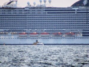 MSC Seaview emergência